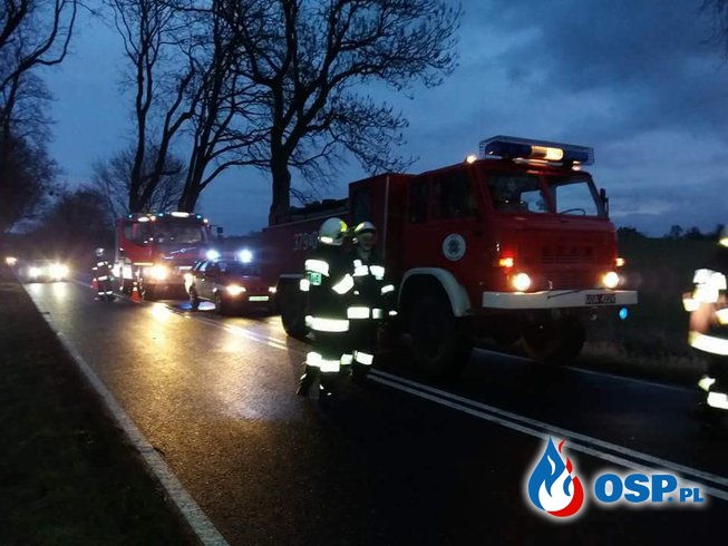 Bus uderzył w drzewo OSP Ochotnicza Straż Pożarna