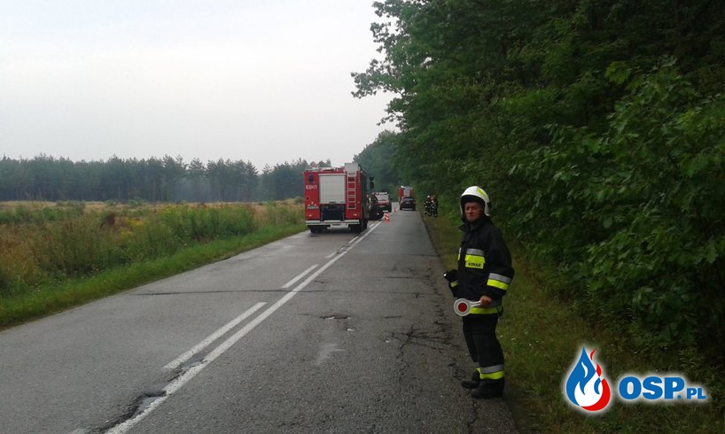 Zdarzenie drogowe pomiędzy Brynicą a Ostrożnicą. (17.08.2015) OSP Ochotnicza Straż Pożarna