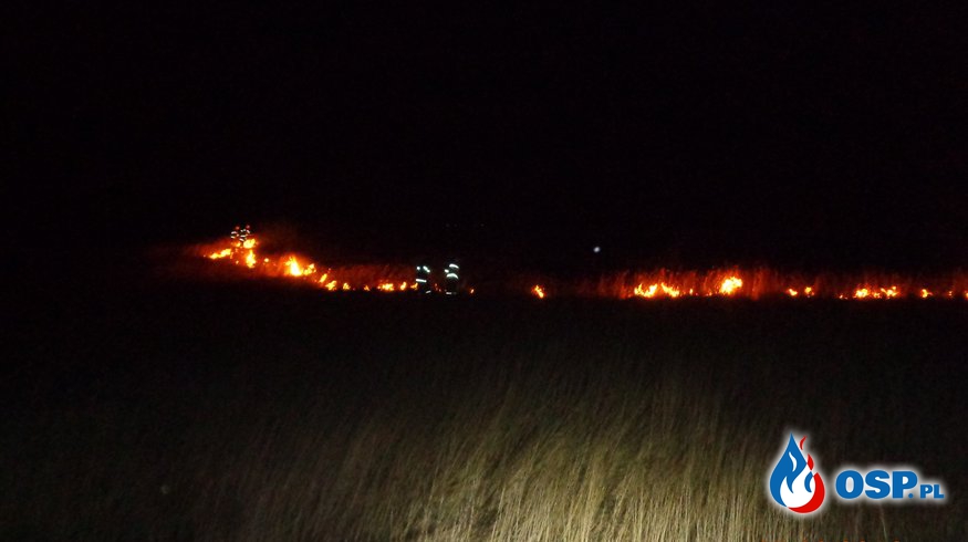 Pożar suchych traw przy ul. Przylaski OSP Ochotnicza Straż Pożarna