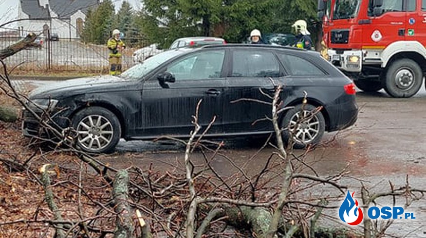 Drzewo spadło na samochód OSP Ochotnicza Straż Pożarna