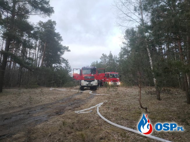 Drewniana stodoła doszczętnie spłonęła. Pożar we wsi pod Sejnami. OSP Ochotnicza Straż Pożarna