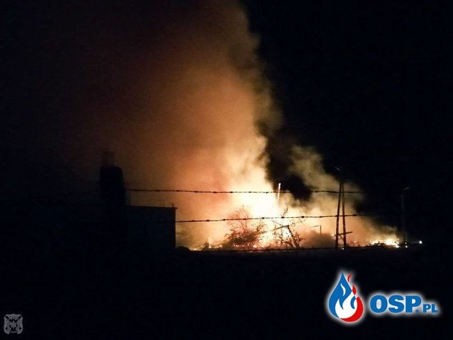 Strażacy całą noc gasili pożar stodoły. Silny wiatr utrudniał akcję. OSP Ochotnicza Straż Pożarna