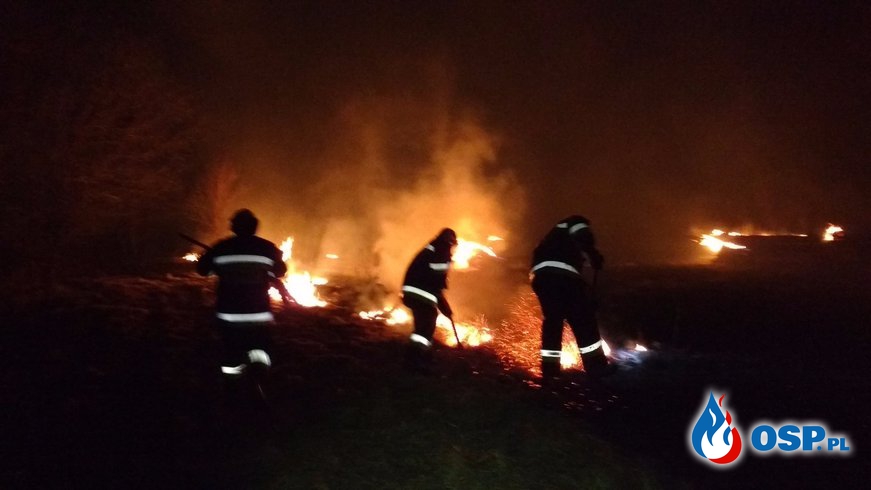 Pożar traw przy ul. Karpackiej OSP Ochotnicza Straż Pożarna
