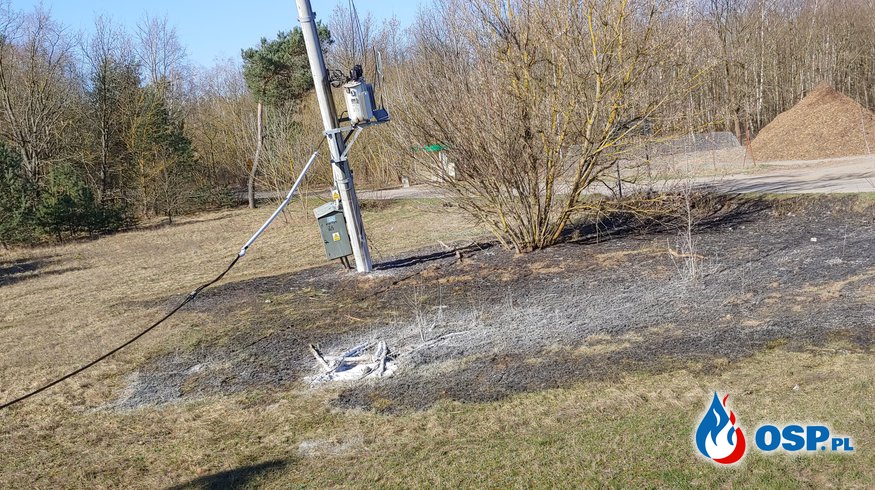 Zerwana linia energetyczna i pożar trawy OSP Ochotnicza Straż Pożarna
