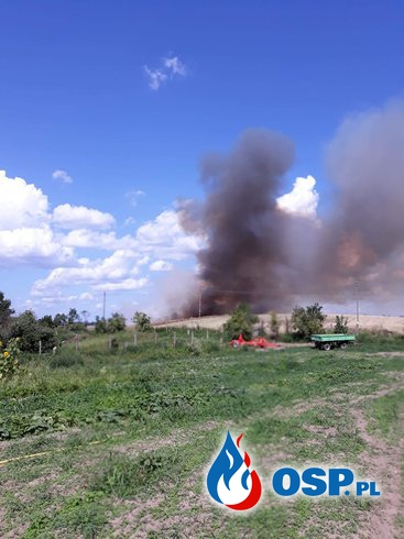 Największy pożar w powiecie spłonęło 50 hektarów  OSP Ochotnicza Straż Pożarna