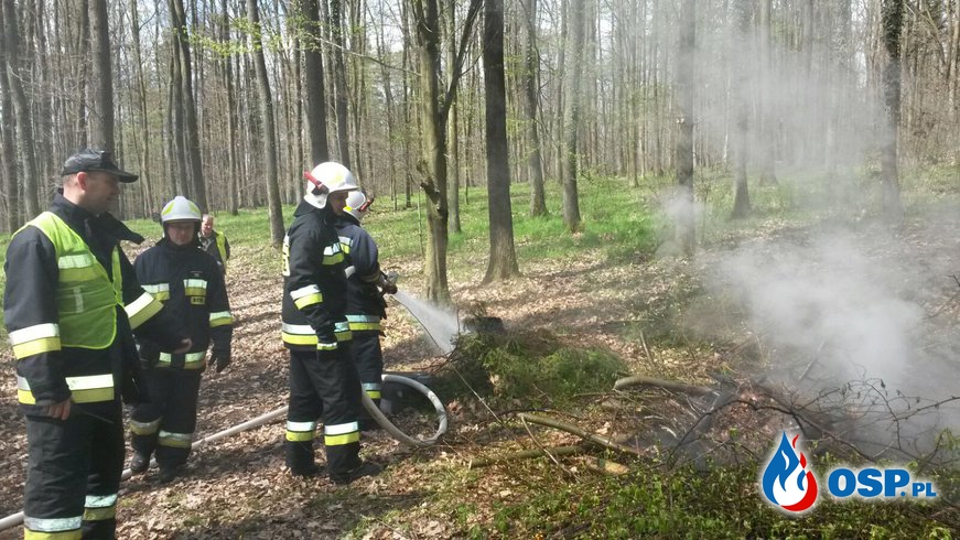 Ćwiczenia pożarnicze w lesie w Głubczycach OSP Ochotnicza Straż Pożarna