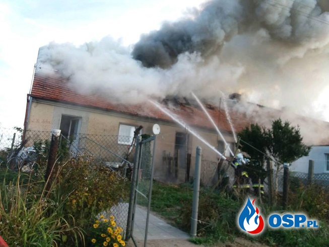 Pożar poddasza budynku wielorodzinnego. OSP Ochotnicza Straż Pożarna