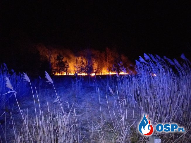 Palący PROBLEM mieszkańców Gminy Bliżyn. STOP Wypalaniu TRAW! OSP Ochotnicza Straż Pożarna
