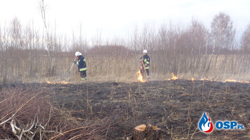 Pożar suchych traw w miejscowości Bóbrka OSP Ochotnicza Straż Pożarna