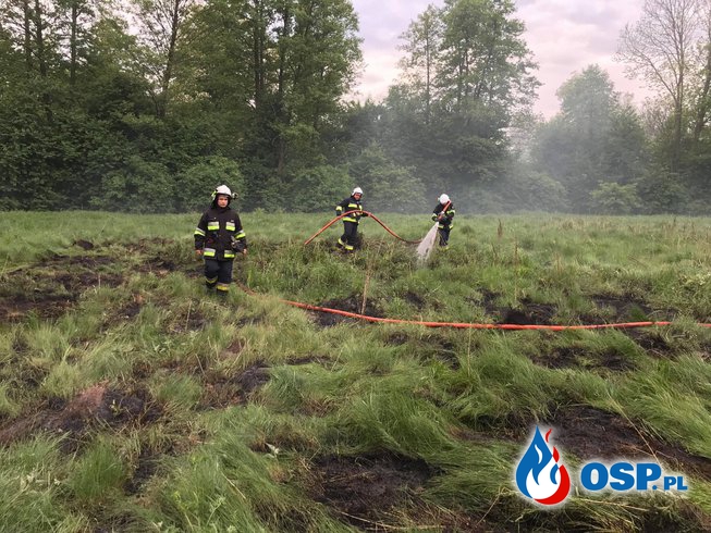 Pożar trawy w Glinojecku OSP Ochotnicza Straż Pożarna