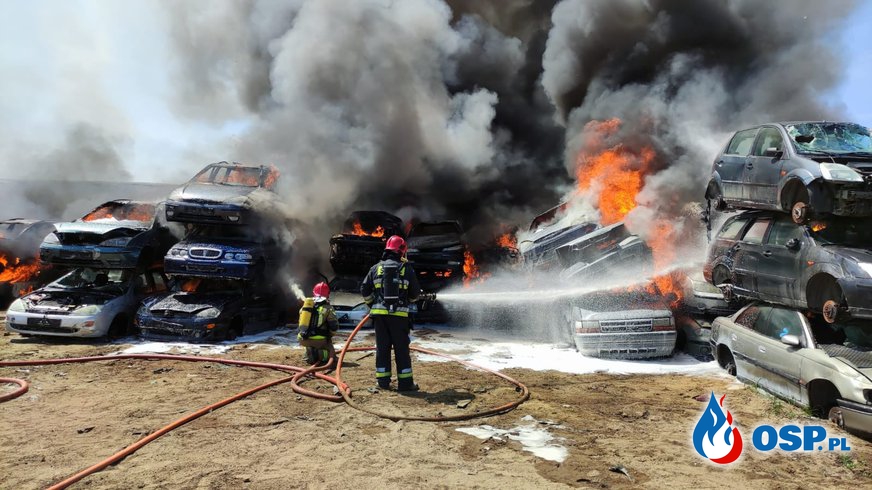 Ogromny pożar na stacji demontażu pojazdów. 12 zastępów strażaków w akcji. OSP Ochotnicza Straż Pożarna