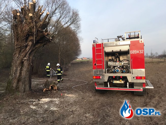 Pożary lasów OSP Ochotnicza Straż Pożarna
