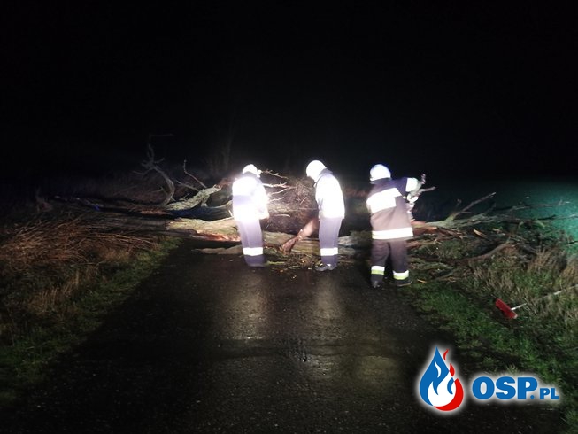 Powalone drzewo na drogę powiatową OSP Ochotnicza Straż Pożarna
