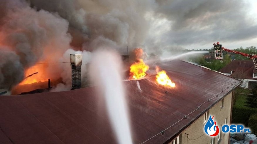 24 zastępy strażaków gasiły pożar garbarni. Zawalił się dach. OSP Ochotnicza Straż Pożarna