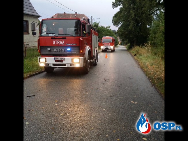 Usuwanie skutków burzy. 3 interwencje w tym powalony konar drzewa na samochód OSP Ochotnicza Straż Pożarna