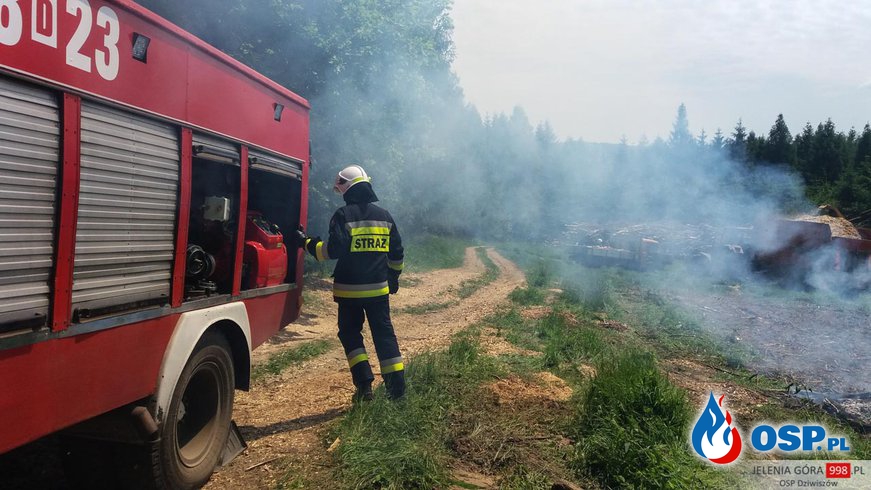 Chrośnica: Pożar w lesie. OSP Ochotnicza Straż Pożarna