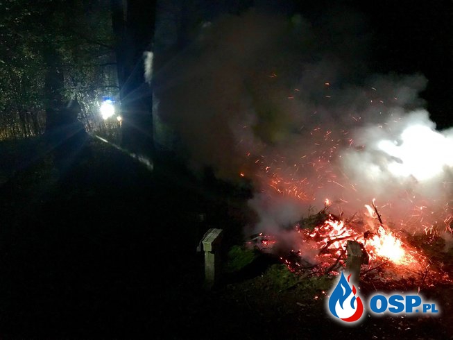 46/2019 Duze ognisko w srodku parku OSP Ochotnicza Straż Pożarna