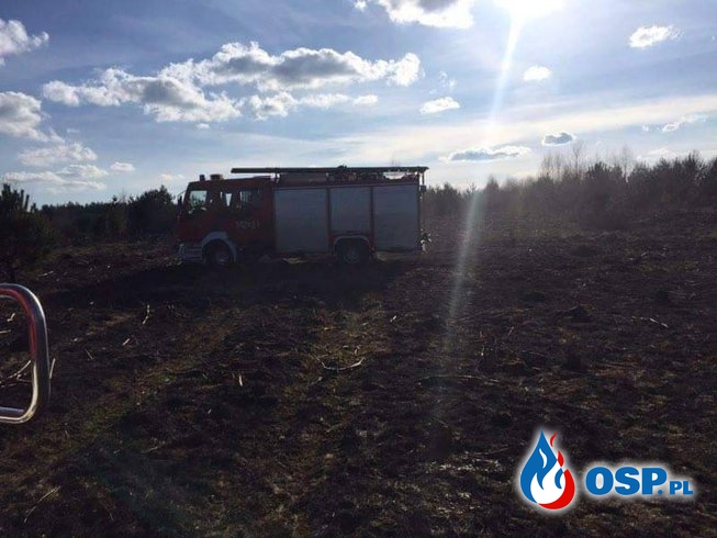 Pożar łąki i lasu 28.03.2016 OSP Ochotnicza Straż Pożarna