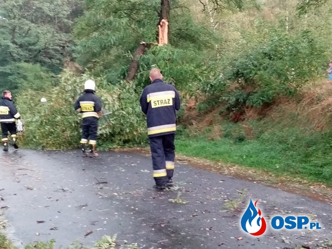 Połamane drzewa OSP Ochotnicza Straż Pożarna