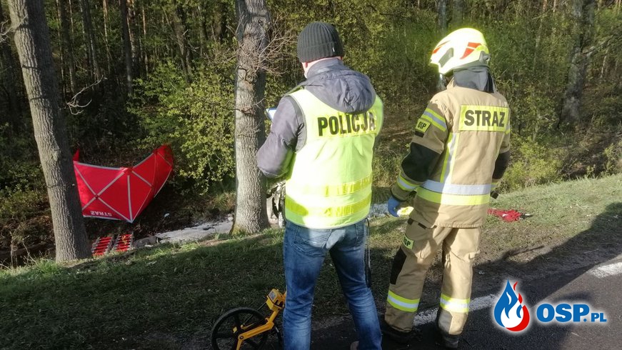 Renault uderzyło w drzewo i dachowało. Nie żyją dwie osoby. OSP Ochotnicza Straż Pożarna
