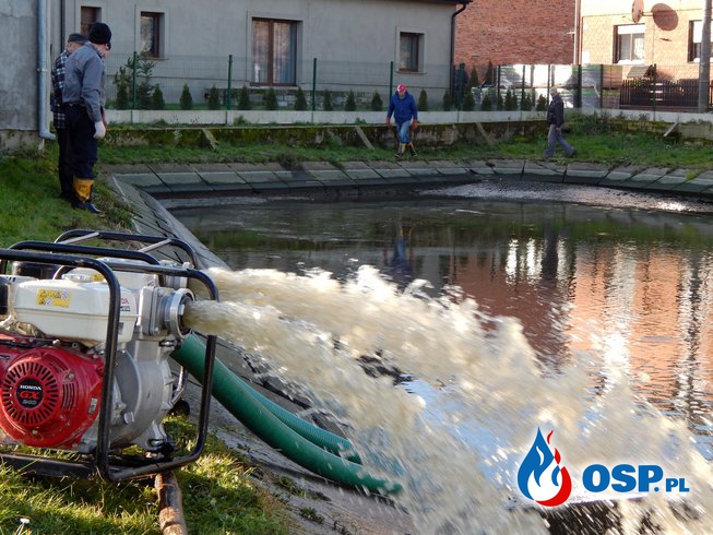 Czyszczenie zbiornika wodnego i łowienie ryb OSP Ochotnicza Straż Pożarna