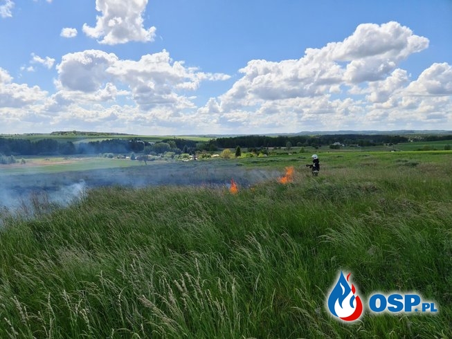 92/2020 Pożar trawy na ul. Rogozińskiego OSP Ochotnicza Straż Pożarna