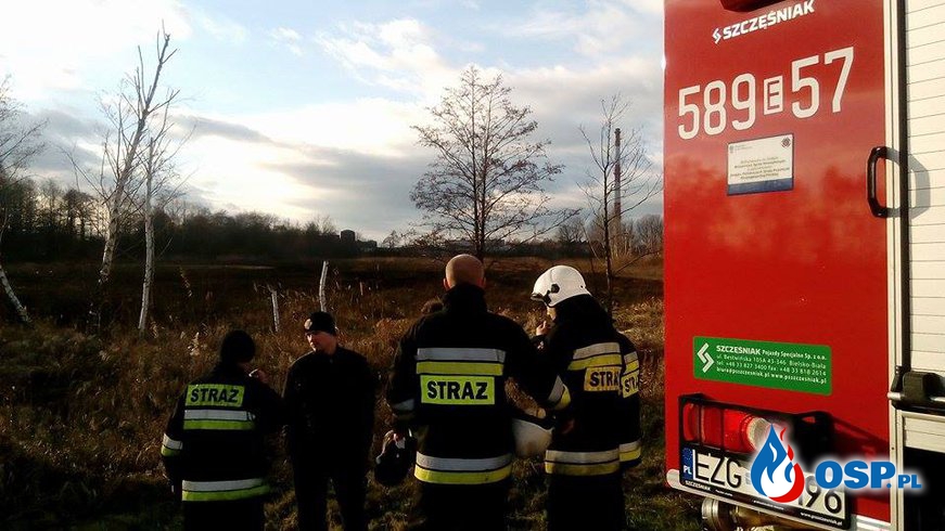 Pożar 1,5 ha trzciny przy DK 91 w dniu 26.12.2015r. OSP Ochotnicza Straż Pożarna