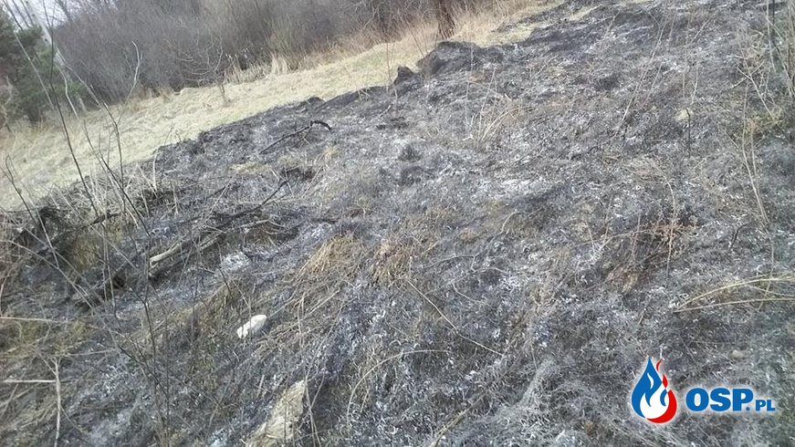 Pożar traw w miejscowości Pięty - 12.03.2017 OSP Ochotnicza Straż Pożarna