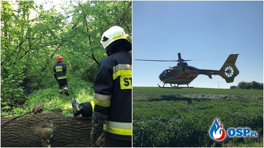Tragiczny wypadek przy wycince drzew na Opolszczyźnie OSP Ochotnicza Straż Pożarna