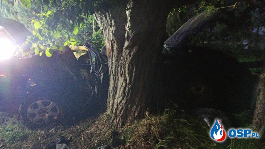Auto roztrzaskało się na drzewie. Zginął kierowca i pasażer. OSP Ochotnicza Straż Pożarna