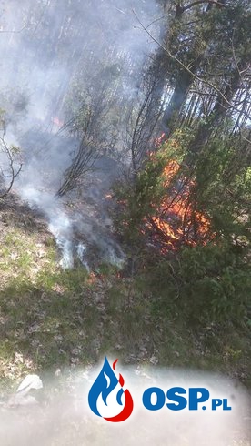 Pożar lasu i łąki w Stoczku OSP Ochotnicza Straż Pożarna