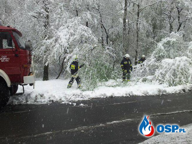 Załamanie pogody - pełne ręce roboty strażaków OSP Ochotnicza Straż Pożarna
