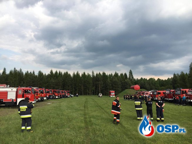 Pożar lasu obok Rudy Kozielskiej - wojewódzkie ćwiczenia Straży Pożarnej. OSP Ochotnicza Straż Pożarna