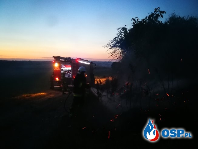 Pożar traw i zarośli OSP Ochotnicza Straż Pożarna