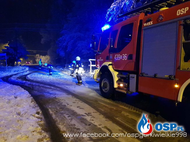 Odłamany konar spadł na jezdnię OSP Ochotnicza Straż Pożarna