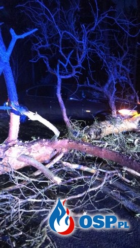 Drzewo spadło na BMW OSP Ochotnicza Straż Pożarna