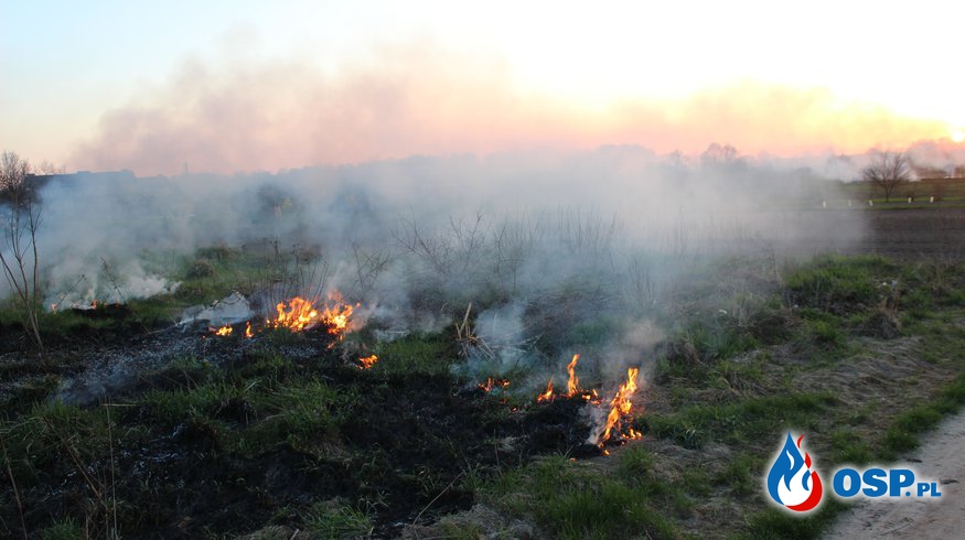 Pożar traw w Cerkwicy 2013r. OSP Ochotnicza Straż Pożarna