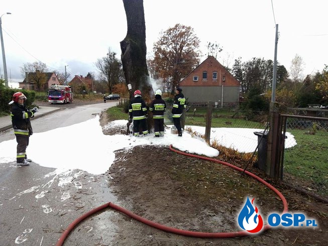 Pożar drzewa w Smykowie 2.11.2016 OSP Ochotnicza Straż Pożarna