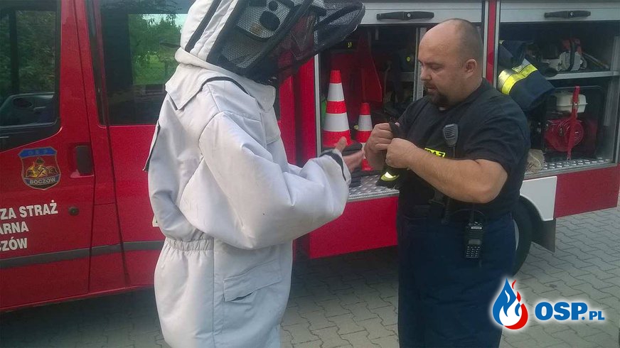 Szerszenie w elewacji budynku Szkoły Podstawowej w Boczowie!!! OSP Ochotnicza Straż Pożarna