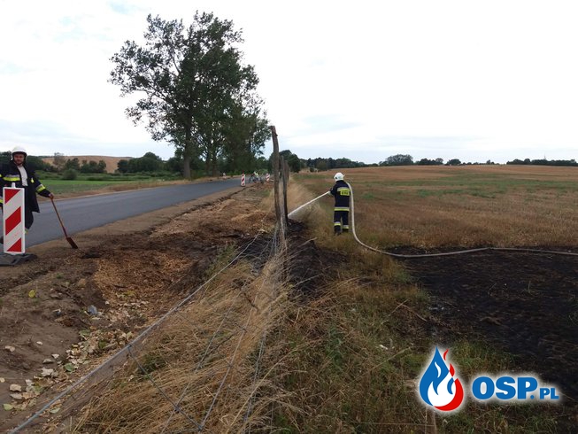 Pożar przy drodze wojewódzkiej 137 OSP Ochotnicza Straż Pożarna