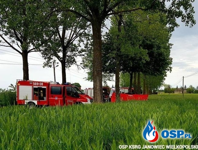 Ojciec i córka zginęli pod Żninem. Ich auto rozpadło się po zderzeniu z drzewem. OSP Ochotnicza Straż Pożarna