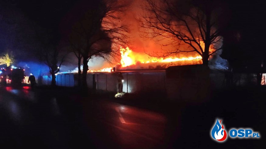 Strażak ranny podczas gaszenia pożaru tartaku w Przeciszowie. W akcji 17 zastępów. OSP Ochotnicza Straż Pożarna