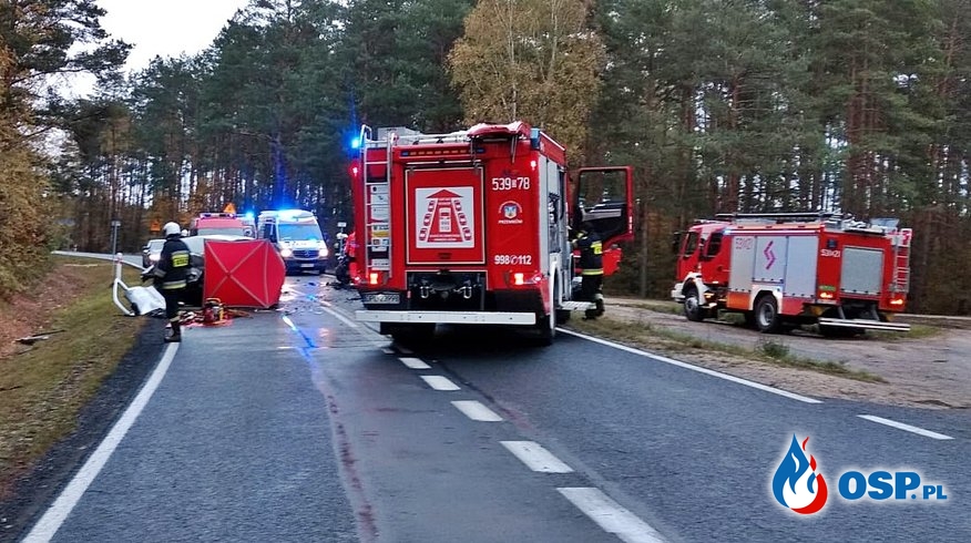 Czołowe zderzenie dwóch aut pod Polkowicami. Jeden z kierowców nie przeżył. OSP Ochotnicza Straż Pożarna