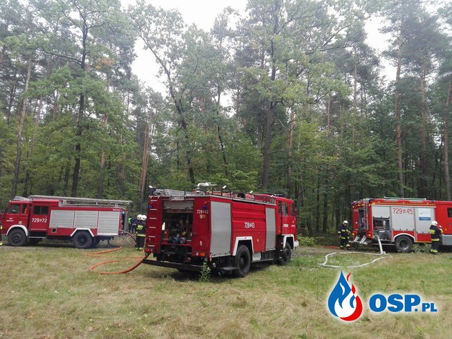 Ćwiczenia - "Pożar Lasu" OSP Ochotnicza Straż Pożarna