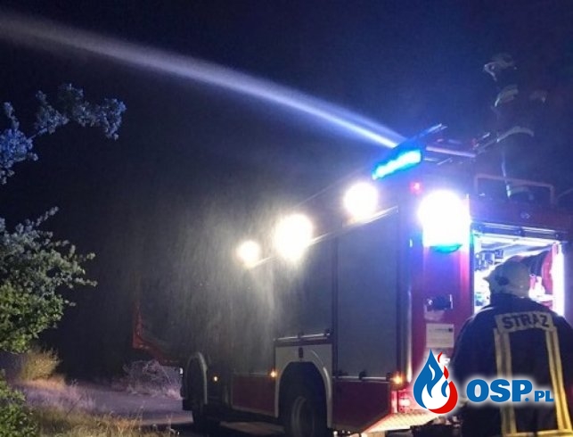 Pożar traw pomiędzy Krajnikiem Dolnym a Ognicą OSP Ochotnicza Straż Pożarna