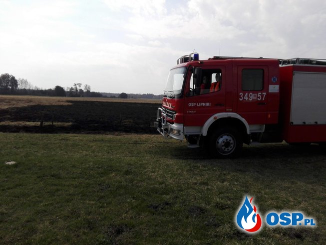 Pożar traw - OSP LIPNIKI (14.04.2018r.) OSP Ochotnicza Straż Pożarna