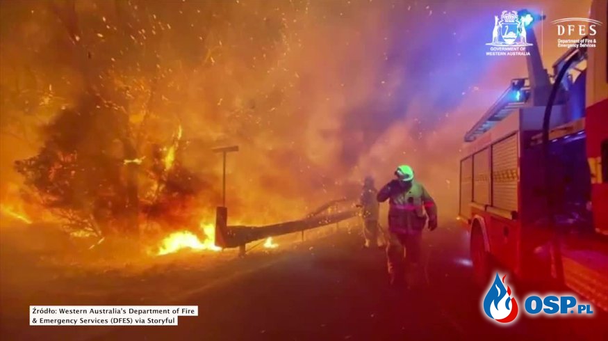 Spłonęły dziesiątki domów i hektary buszu. Australijscy strażacy walczą z żywiołem. OSP Ochotnicza Straż Pożarna