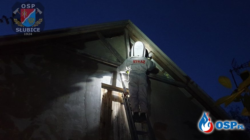 Szerszenie w elewacji budynku mieszkalnego OSP Ochotnicza Straż Pożarna