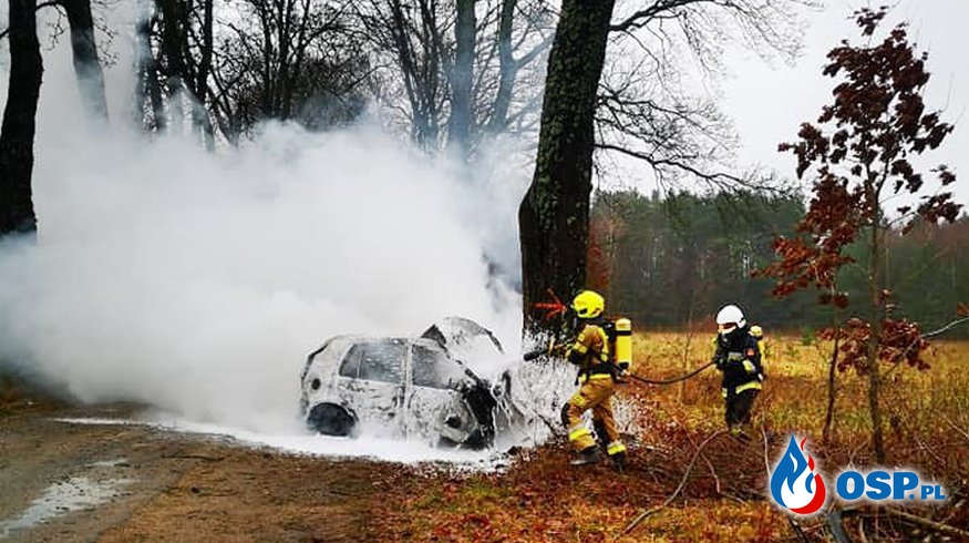 Auto stanęło w ogniu po uderzeniu w drzewo. Tragiczny wypadek pod Świdwinem. OSP Ochotnicza Straż Pożarna
