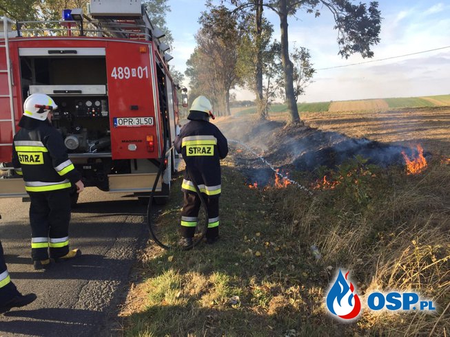 Pożar  suchej trawy na poboczu drogi OSP Ochotnicza Straż Pożarna